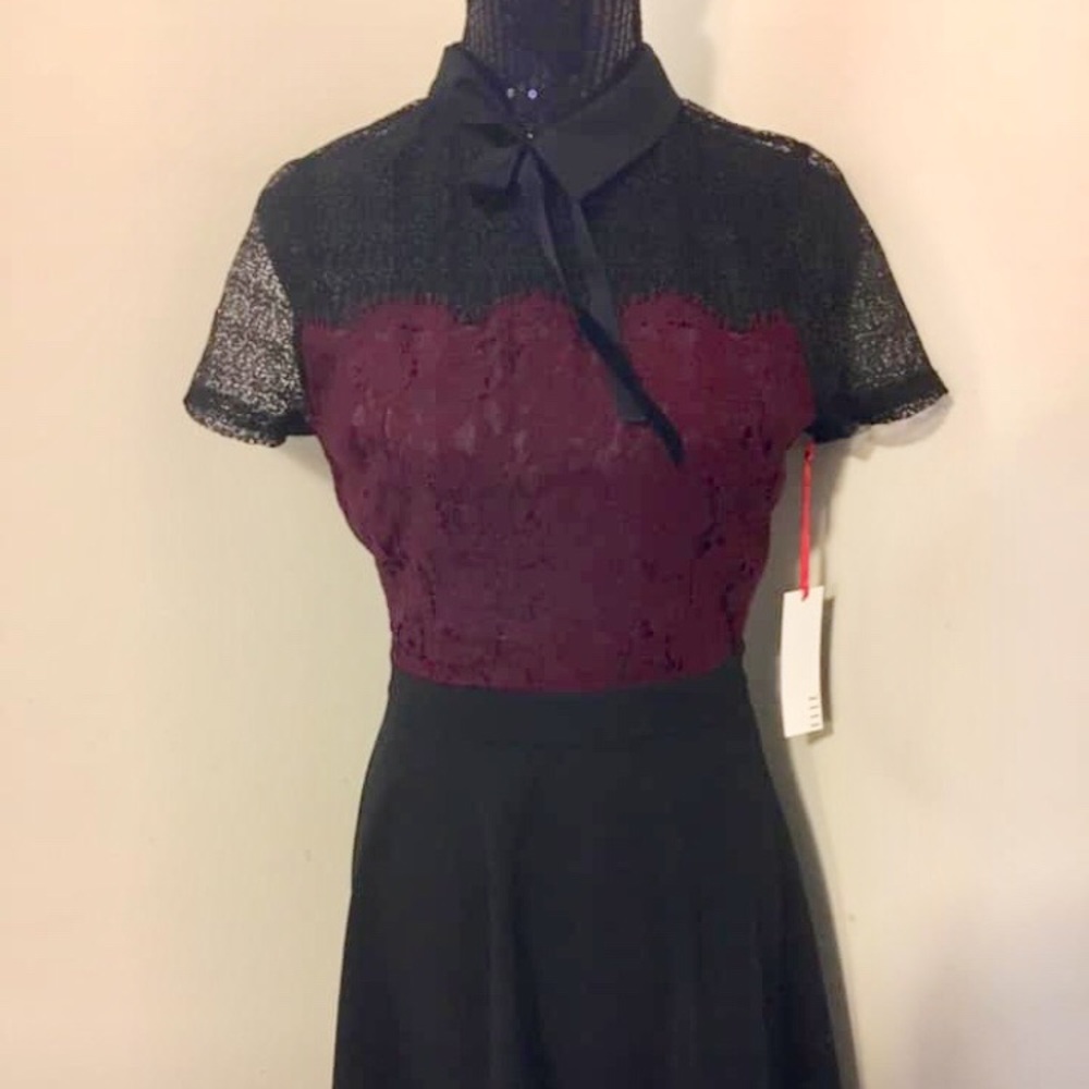 New Fit and Flare Dress with Lace Detail